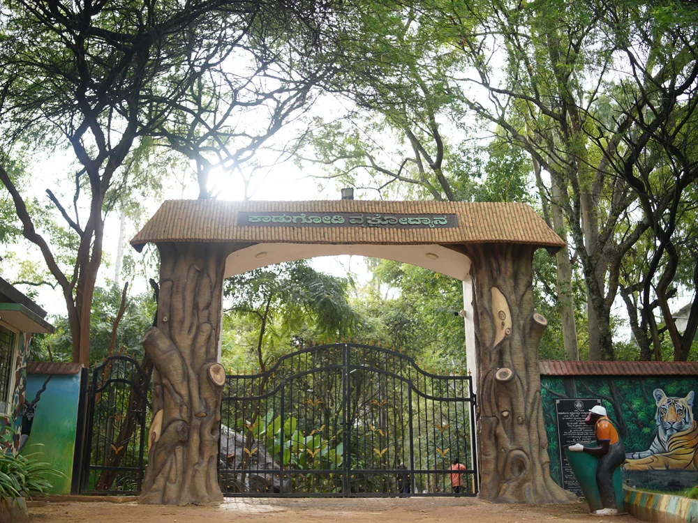 Kadugodi Tree park